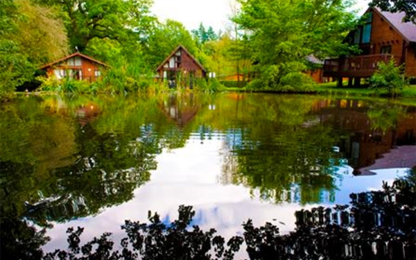 Whitemead Forest Park - Cabins and Lodges in the Forest of Dean