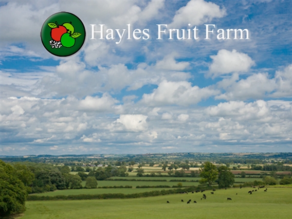 Hayles Fruit Farm Camping Site situated is located on the Cotswold Way north of Winchcombe