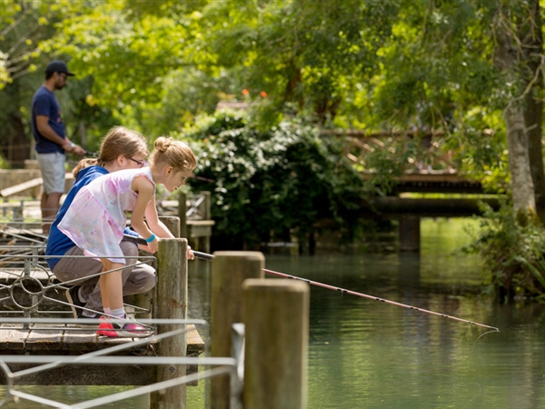 Children love the immersive experience at Bibury Trout Farm