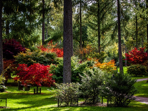 Photo Credit: Johnny Hathaway