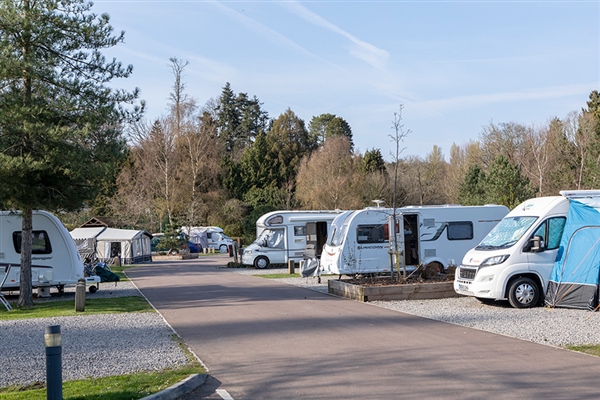 Explore the Forest of Dean – Camping & Touring at Whitemead Forest Park
