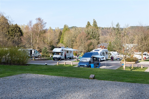 Scenic hardstanding pitches with electric hook-ups at Whitemead Forest Park.