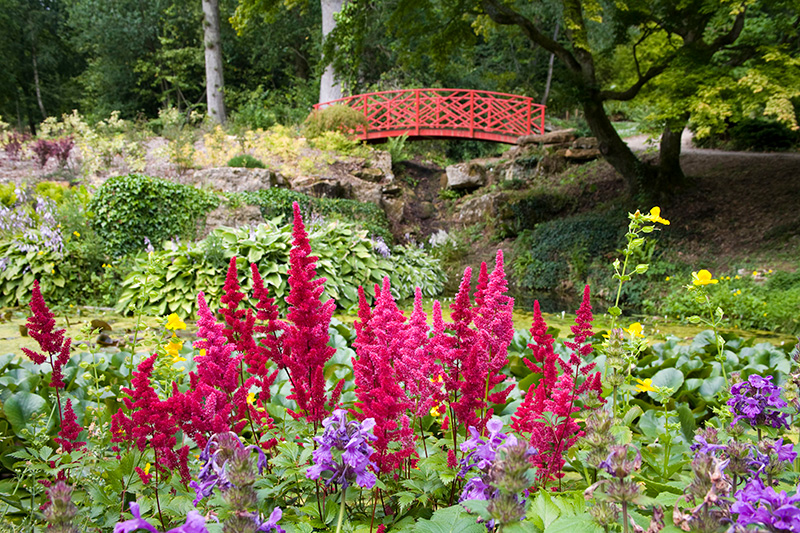 Batsford Arboretum seasonal landscape in the Cotswolds