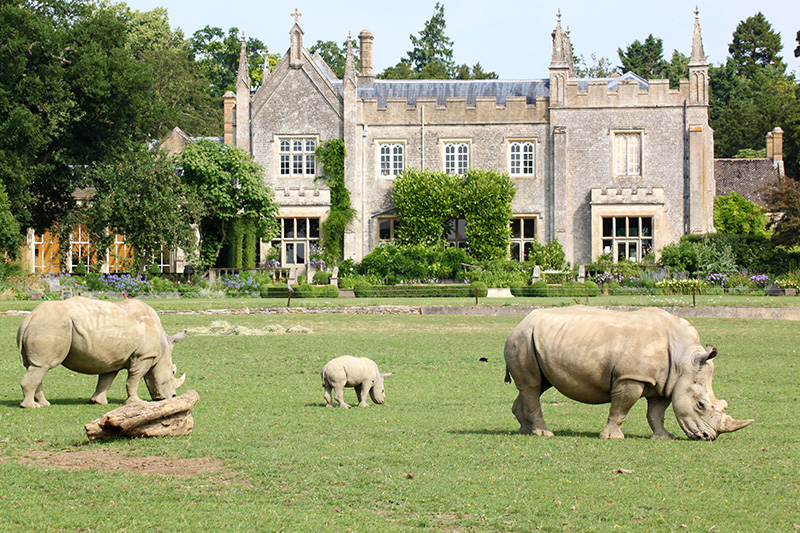 Cotswold Wildlife Park and Gardens animal enclosures
