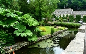 Highly commended: Bibury by Rossana Pinto
