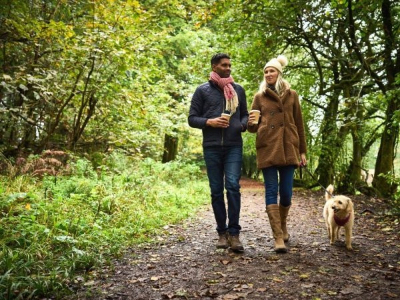 Family walking through the Forest of Dean in autumn