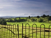 Scene near Walmore Hill by Mark Adams