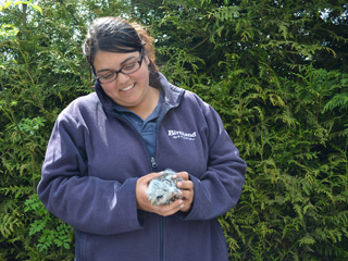 Events at Birdland in Gloucestershire