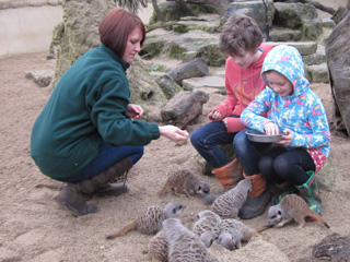 Christmas presents with a difference at Cotswold Wildlife Park