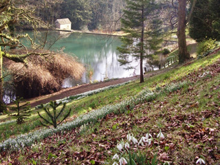 Photo by Claire McGrath