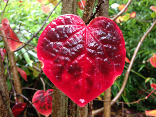 Valentines Day events in Gloucestershire