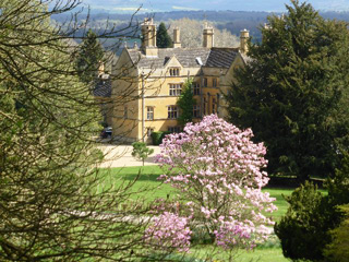 Japanese Flowering Cherries reach their blossomy peak at  Batsford Arboretum