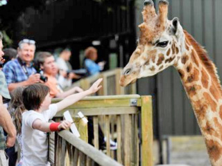 Events at Cotswold Wildlife Park