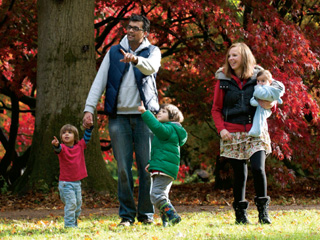 This autumn learn, see and play amongst a riot of colour at Westonbirt