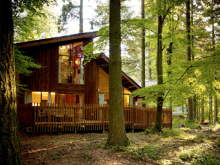 EXCLUSIVE! Offer of the Week: 10% off Forest Holidays Cabin