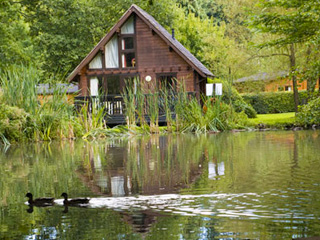 ACCOMMODATION REVIEW Whitemead Forest Park Cabins Forest of Dean