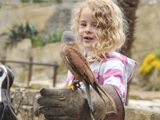 A night full of memories: “Dreamnight At The Zoo” at Cotswold Wildlife Park