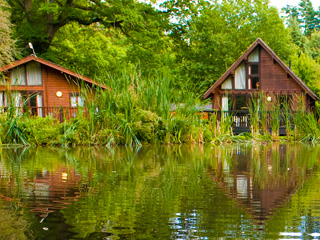 Save £150 on a family break this summer at Whitemead Forest Park