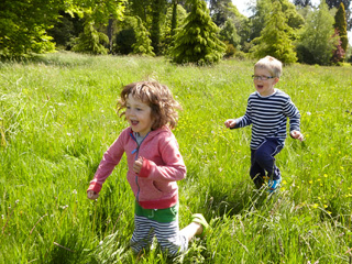 Kids roam free this summer at Westonbirt