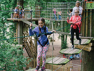 NEW Tree Top Junior at Go Ape in the Forest of Dean