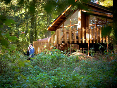 Fabulous Offer! 10% off Forest Holidays Cabins