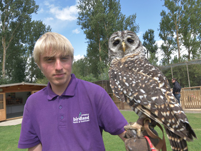 International Owl Awareness Day at Birdland