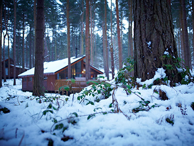 Enjoy 10% off Boxing Day breaks with Forest Holidays