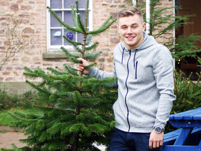 Christmas Tree sales in the Forest of Dean