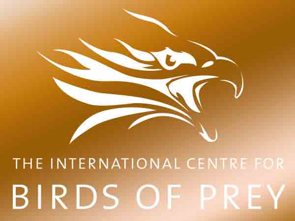 Easter hunt at the ICBP