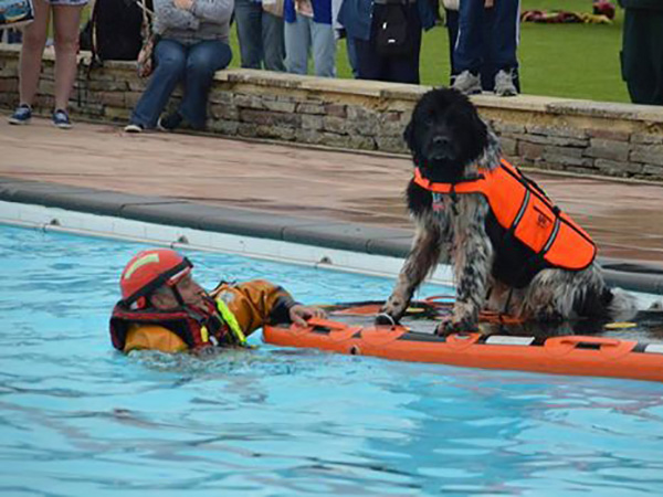 Sandford Parks Lido Rescue Day 2017