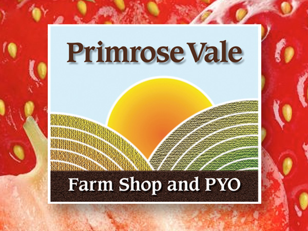 EXCLUSIVE OFFER: Free cream at Primrose Vale PYO Strawberries