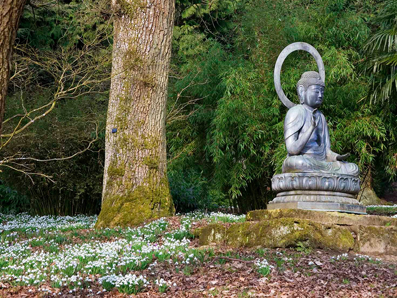 Early signs of spring at Batsford Arboretum