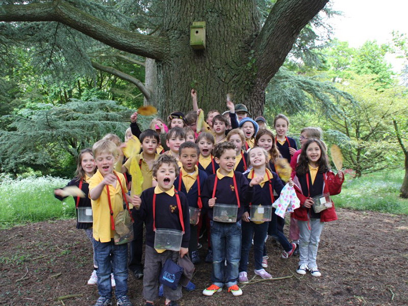 Batsford Arboretum launches new Forest School