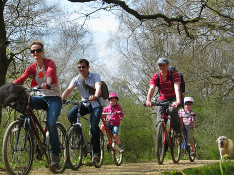 Family cycling in the Forest of Dean with Pedalabikeaway