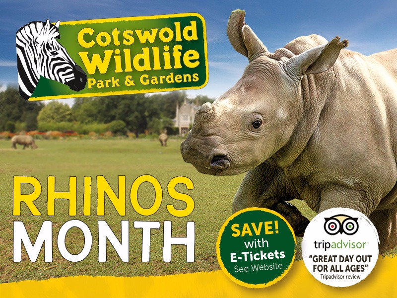 Rhino Month at Cotswold Wildlife Park & Gardens