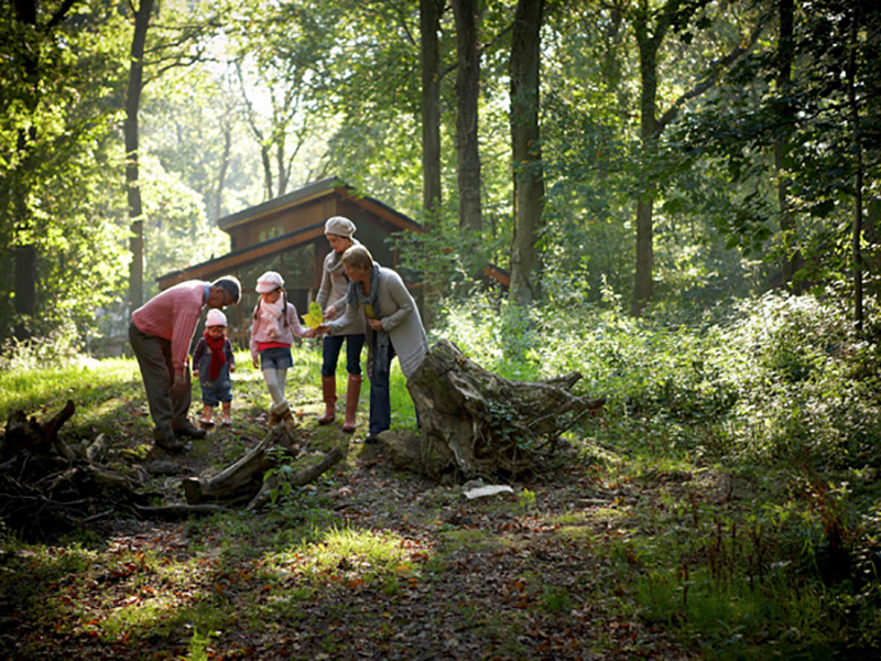 Fabulous Offer! 5% off Forest Holidays Cabins