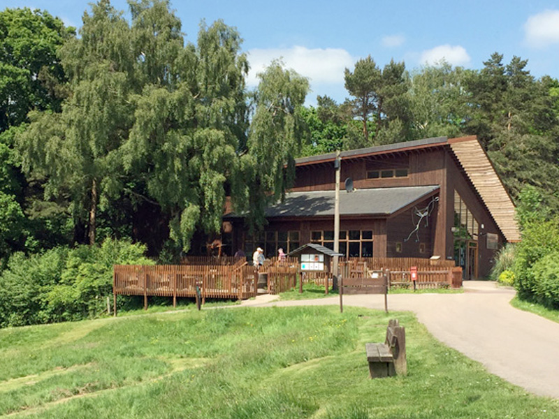 A Cabin Holiday at Forest Holidays in the Forest of Dean