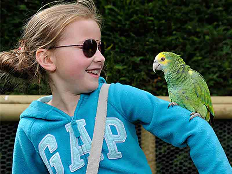 What's on at Birdland in the Cotswolds