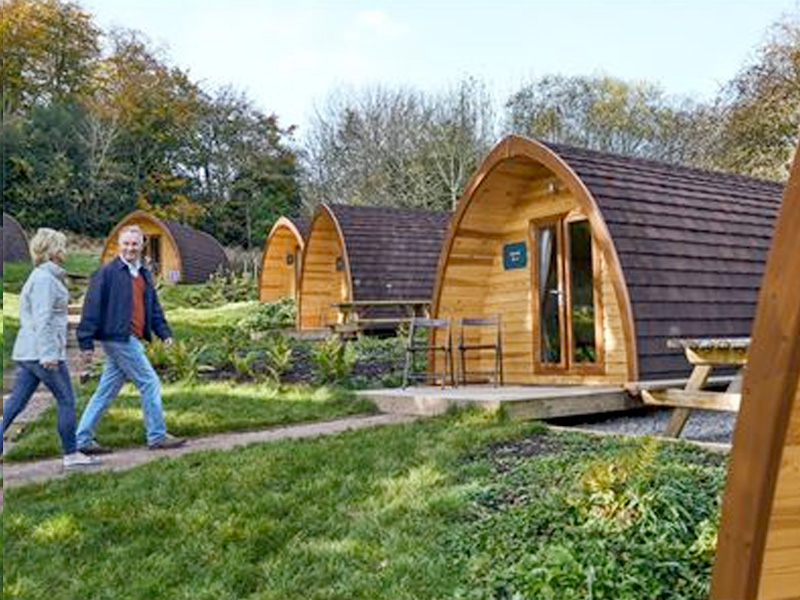 FLASH SALE: Glamping Pods at Whitemead Forest Park ONLY £32!