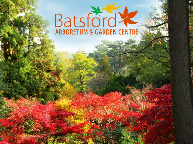 Batsford Arboretum gears up for spectacular autumn colour