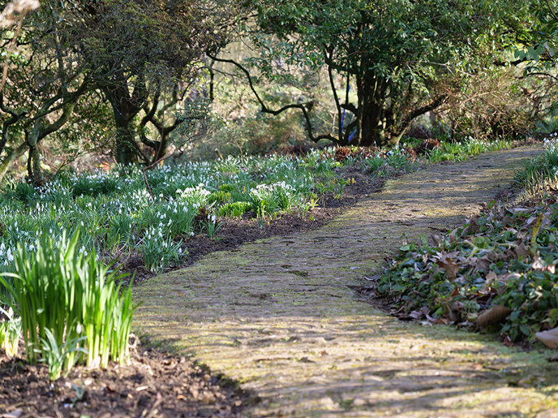 Hidcote-path-©-National-Trust-Sarah-Davis