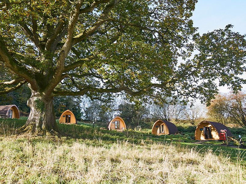 Save up to 25% on your summer holiday at Whitemead Forest Park