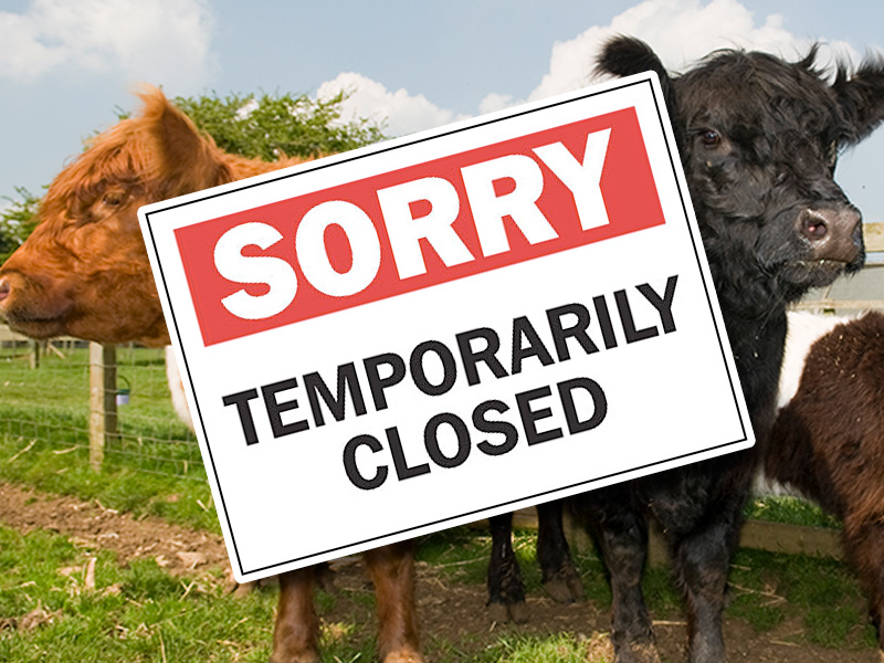 Coronavirus Update: Temporary Closure of Adam Henson's Cotswold Farm Park