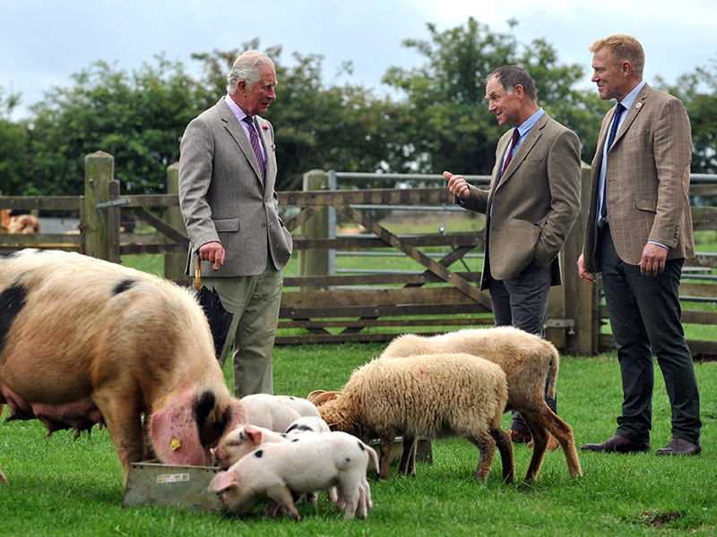 Prince Charles visits the Cotswold Farm Park