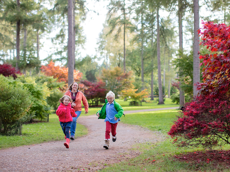 Autumn at Westonbirt Arboretum