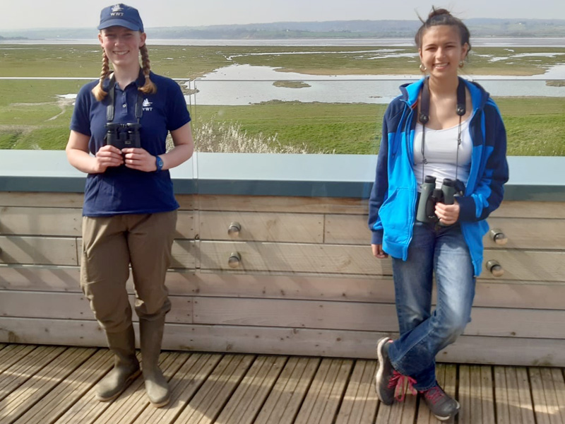 WWT Slimbridge