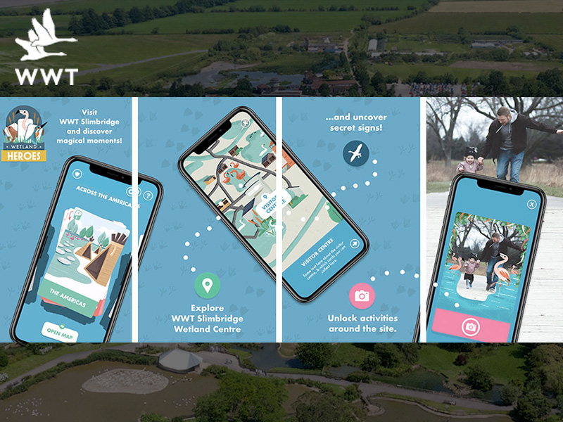 WWT Slimbridge 2021