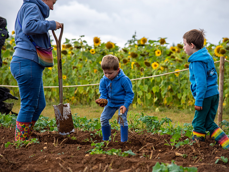 Adam Henson's Cotswold Farm Park - Potato Patch