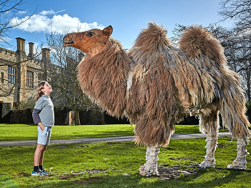 CoExistence animals at Sudeley Castle & Gardens