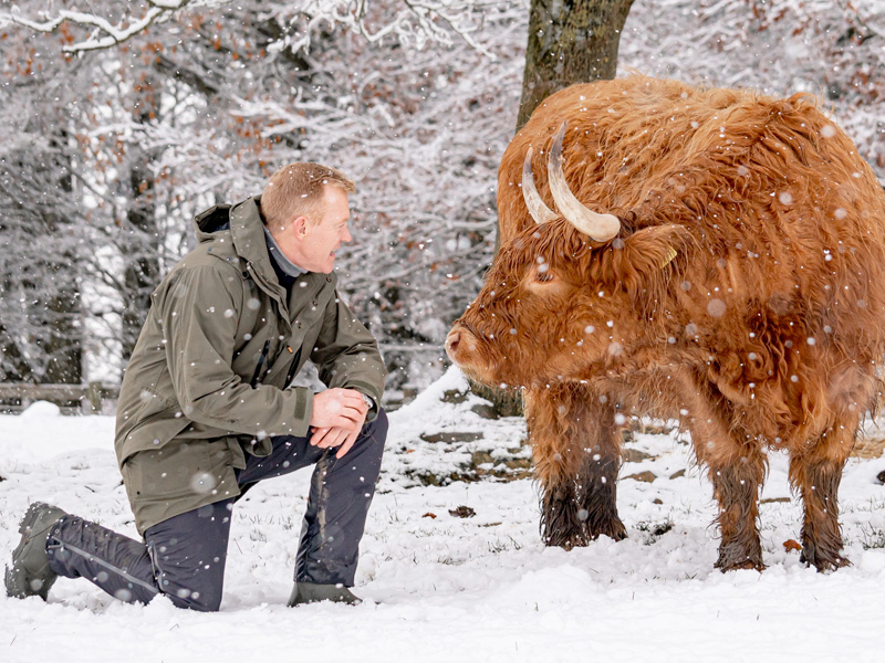 Adam Henson with Highland Cattle in the snow